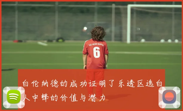 白伦纳德的成功证明了乐透区选白人中锋的价值与潜力